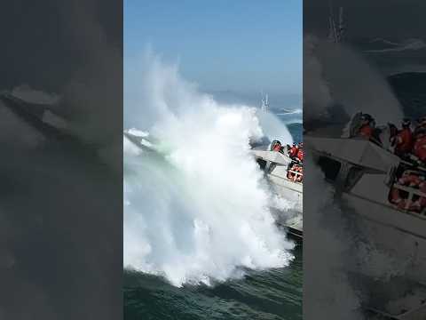 Golden Gate Coast Guard #waves
