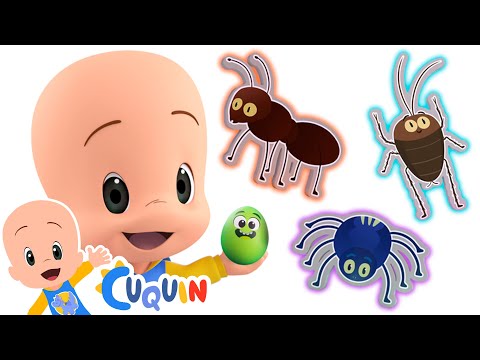 Surprise Eggs: Insects | Educational videos