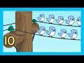Number Sequences and Order
