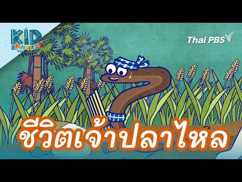 ชีวิตเจ้าปลาไหล | Kid Rangers ปฏิบัติการเด็กช่างคิด