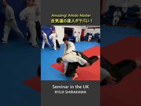 Amazing! Unbelievable techniques of Aikido master