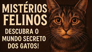 Mistérios Felinos: Descubra o Mundo Secreto dos Gatos!