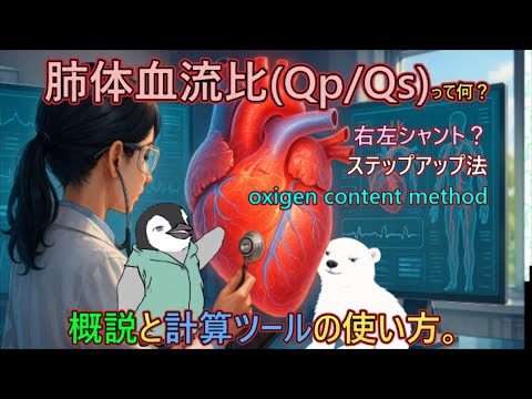 肺体血流比(Qp/Qs)って何？概説と計算ツールの使い方。