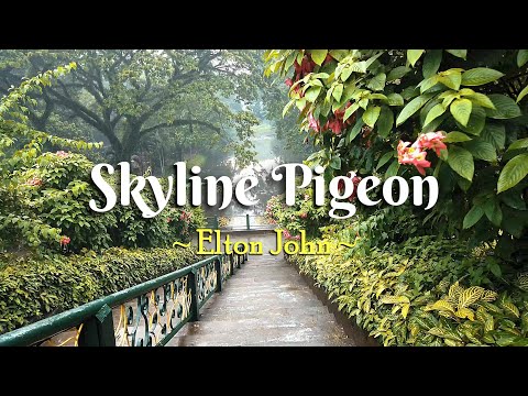 SKYLINE PIGEON – (4k Karaoke Version) – in the style of Elton John