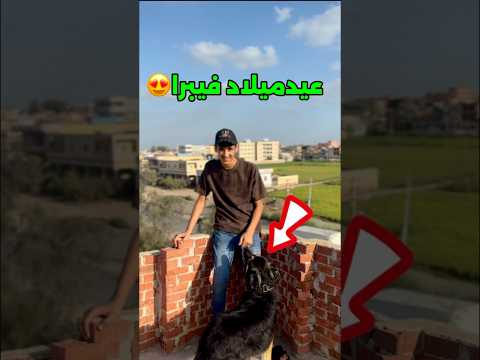 عيدميلاد الكلب فيبرا #محمد_الكويتي