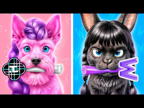 K-Pop Demon Hunters and Wednesday Addams! We Build a Tiny Houses for Pets!