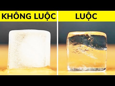 25 CUỘC SỐNG CHO BỮA TIỆC TUYỆT NHẤT TRONG NĂM