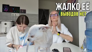 VLOG. Синий хвост, а её мне жалко. Выводы не сделаны. 