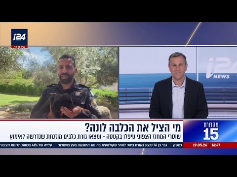 מי הציל את ה*ה לונה? הסיפור המטורף של השוטרים שהגיעו להפריד קטטה - ויצאו עם גורה שחייבת אימוץ דחוף