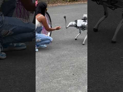 QUE BONITO BAILA PEPO 🤣 #dance