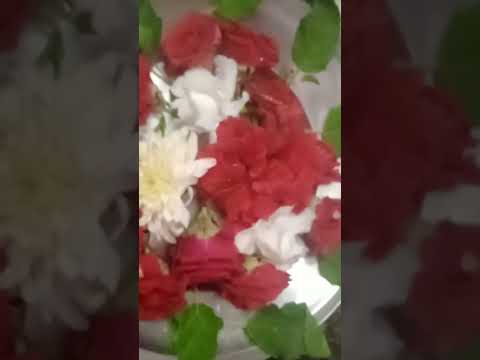 #అదృష్టం #ytshorts #youtubeshorts