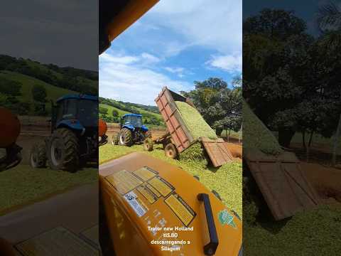 Trator new Holland Tl5.80 descarregando a Silagem de milho #tratorista #trator