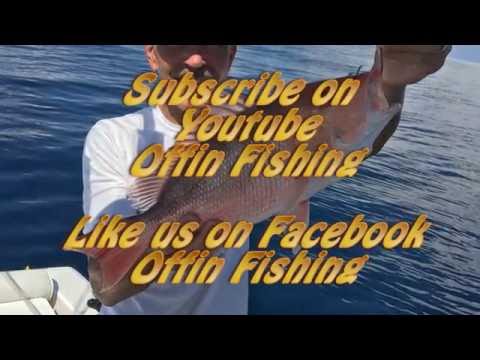 Middle grounds fishing for american red snapper and grouper video thumbnail