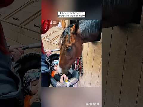 Horse embraced pregnant woman daily and then...#love #kindness #animals #cutepet