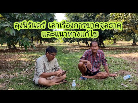 ลุงนิรันดร์ประสบการณ์ขาดจุลธาตุและแนวทางแก้ไข