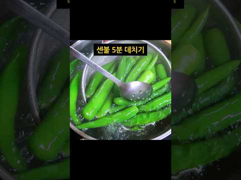 10번 연속 찾아먹는 아삭이고추 요리!