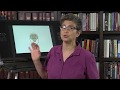 Neurons and Synapses in the Nervous System