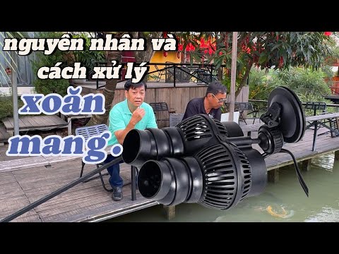 Nguyên Nhân Và Cách Xử Lý Xoăn Mang .
