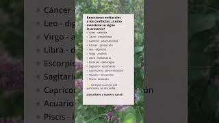 Reacciones zodiacales a los conflictos: ¿Cómo mantiene tu signo la armonía?