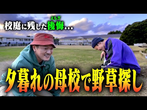 【小学校時代の後悔】あの日言えなかった“ごめんね”。カミナリまなぶ、ありったけの思いを込めてよもぎ団子を作る。【鉾田の野草】