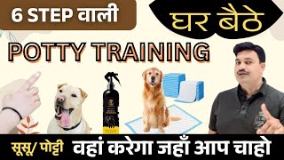 100% कारगर सुसू / पोट्टी की घर बैठे ट्रेनिंग 6 Step, Dog ko susu potty training kaise de