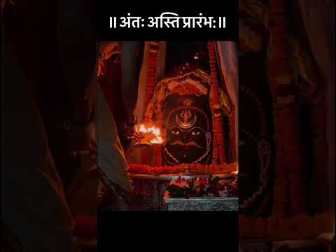 Lord Shiva Shorts