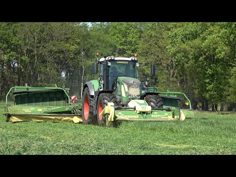 Gras maaien bij de Vosseboer met een Fendt 824 Vario en Krone EasyCut B collect triple maaier (2025)