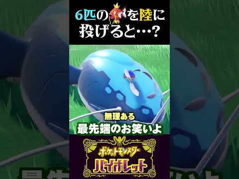 【発見】知ってた？６匹のコイキングを陸に投げると…？【ポケモンSV】【スカーレット・バイオレット】【うさごん】