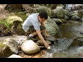 Salmon in the Classroom Program