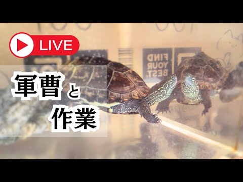 【初見さん大歓迎】メンバーシップの絵文字を増やすよ!