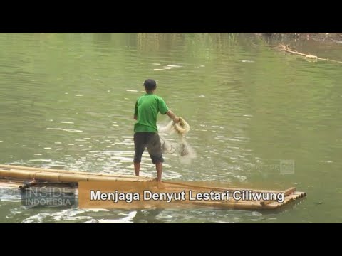 Menjaga Denyut Lestari Ciliwung - Inside Indonesia