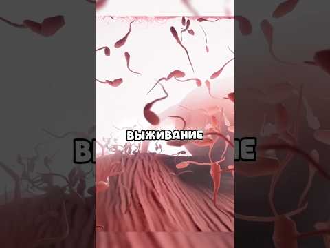 ЭТО РЕАЛЬНАЯ ИГРА😳 #игрынапк #steam #стим