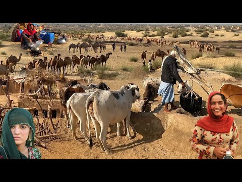 Unique Lifestyle and  Culture of Desert People in Pakistan  || Morning Routine of Desert Women