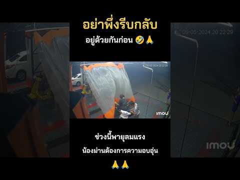 อยู่ด้วยกันก่อน จะรีบกลัยไปไหน #ล้างรถหยอดเหรียญ #คนไทยเป็นตลก #Catcarwash #นนทบุรี