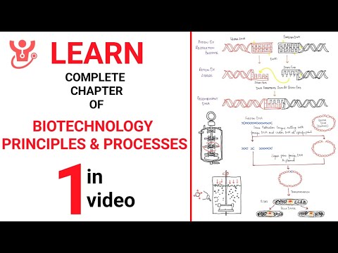 Biotechnology Principles and Processes Explained || NEET 2025 || Class 12 NCERT Biology || Dr Sharun