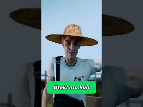 Utekl mu kůň #pandaaashorts #shorts #zajimavosti zajímavosti a fakta | edukativní video