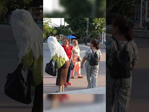 Me vestí de VIEJITA, broma épica... parte 4