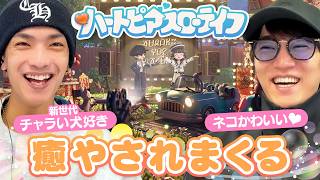 動画サムネイル