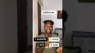 #ceskyjazyk #czechia #czechlanguage #czechia #czechreels