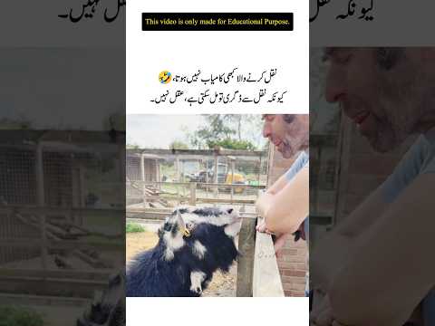 Nakal ka Anjam – Degree Nahi, Zillat Milti Hai"