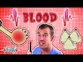 Exploring the Cardiovascular System and Blood Circulation