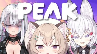 PEAK GAMING w/P.E.T.!! 🎋