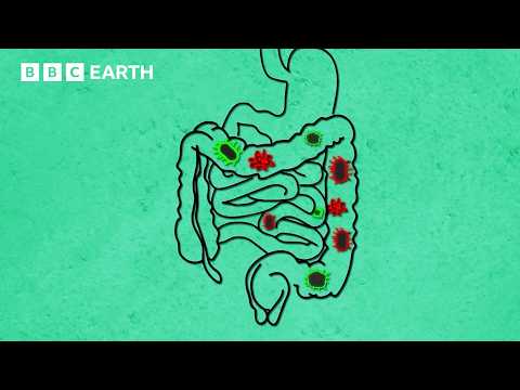 YouTube video thumbnail: The Science of Food and Your Body