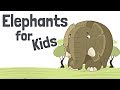 Elephant Behavior and Characteristics