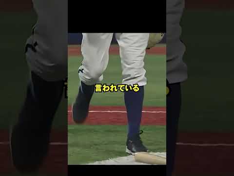 小園が思わず怒った理由とは? #プロ野球 #野球