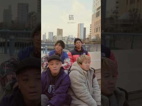 【アカペラ】『猫』DISH// #yokaro_mon #歌ってみた #福岡 #アカペラ
