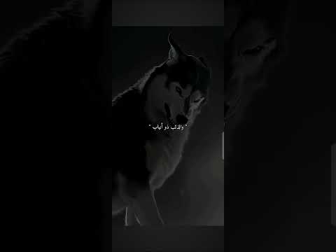 #اكسبلور #دويتو #film #قصص #لايك #الوكره #blackpink