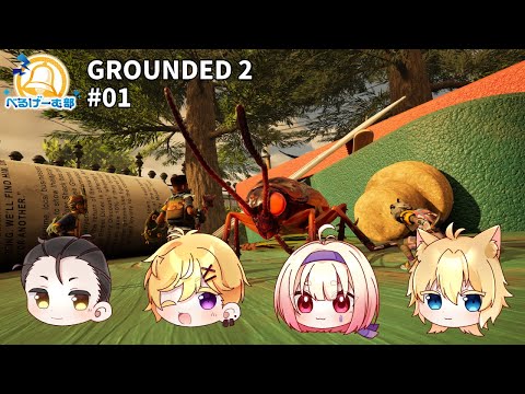 thumbnail_2Ex2tuMMliw