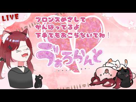 thumbnail_2ExMrmEx7Vg