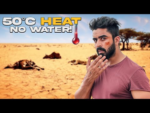 Facing Death in the THAR Desert (True Survival Experience)